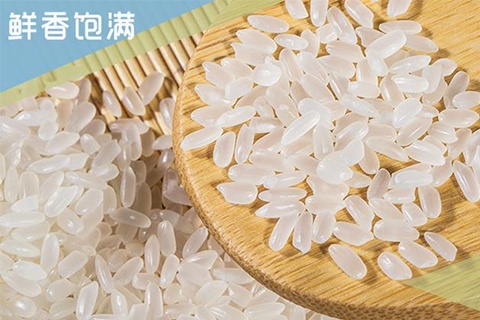 国元米业电商平台